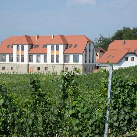 Hotel Weingut Taggenbrunn St. Veit an der Glan Zewnętrze zdjęcie