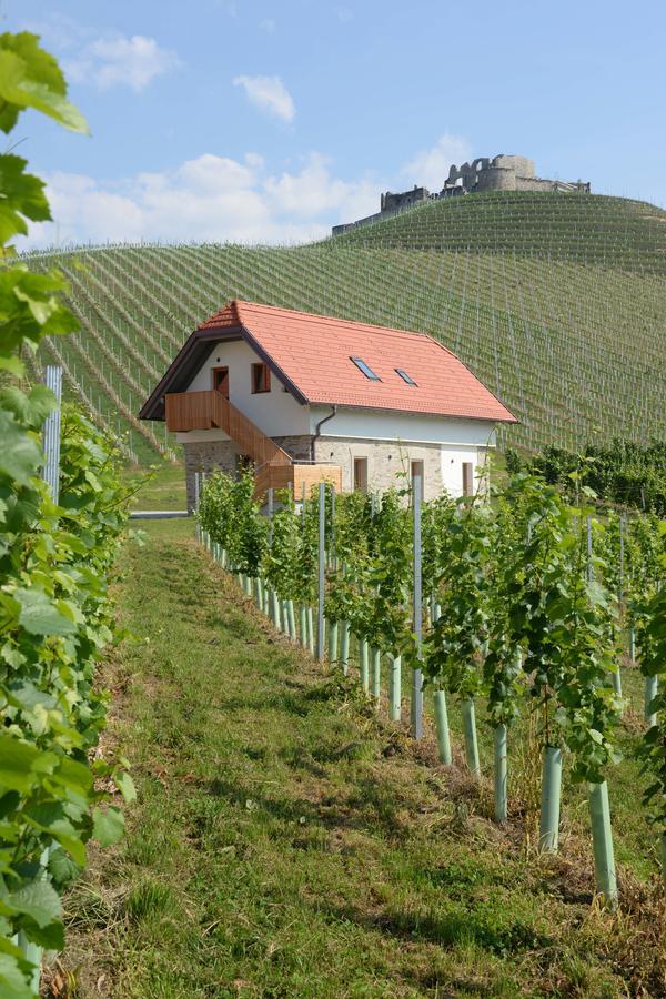 Hotel Weingut Taggenbrunn St. Veit an der Glan Zewnętrze zdjęcie