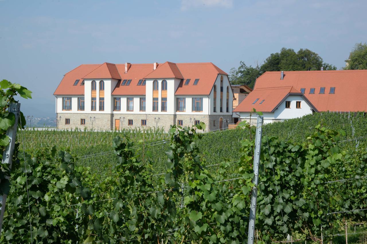 Hotel Weingut Taggenbrunn St. Veit an der Glan Zewnętrze zdjęcie