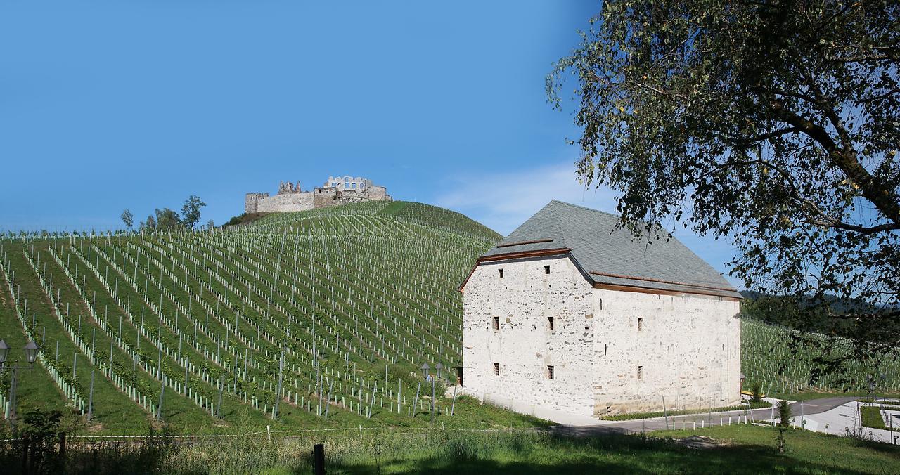 Hotel Weingut Taggenbrunn St. Veit an der Glan Zewnętrze zdjęcie