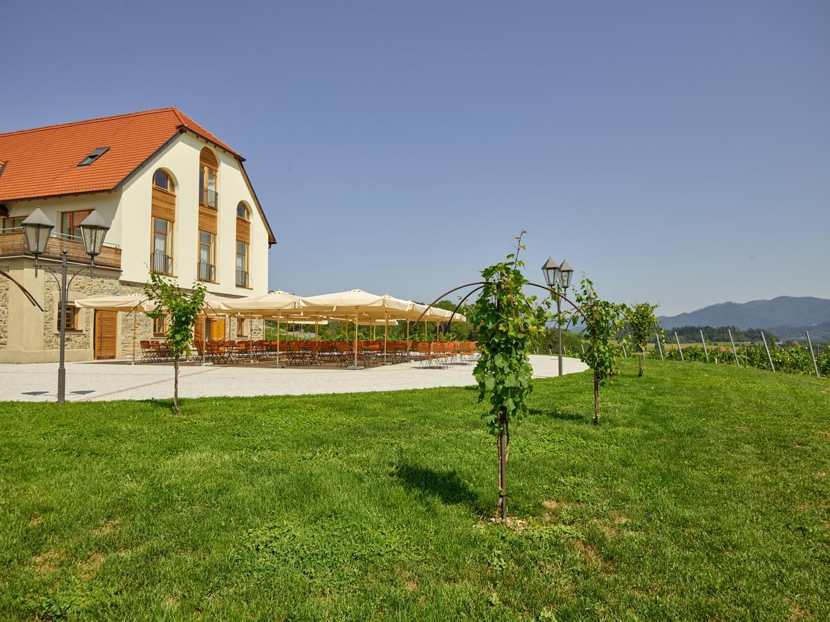 Hotel Weingut Taggenbrunn St. Veit an der Glan Zewnętrze zdjęcie