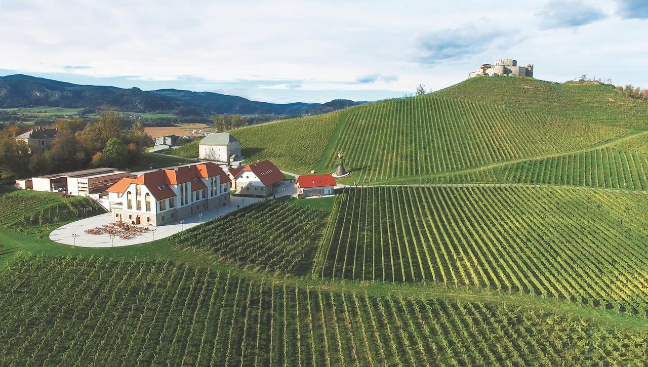 Hotel Weingut Taggenbrunn St. Veit an der Glan Zewnętrze zdjęcie