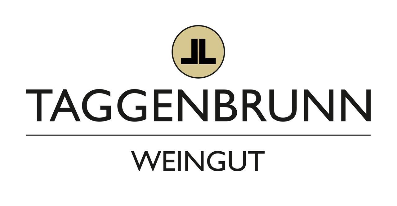 Hotel Weingut Taggenbrunn St. Veit an der Glan Zewnętrze zdjęcie